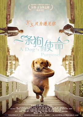 在线免费日韩
